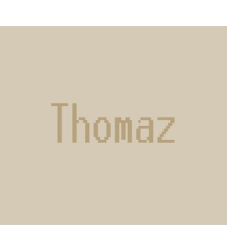 Thomaz Steam Key GLOBAL